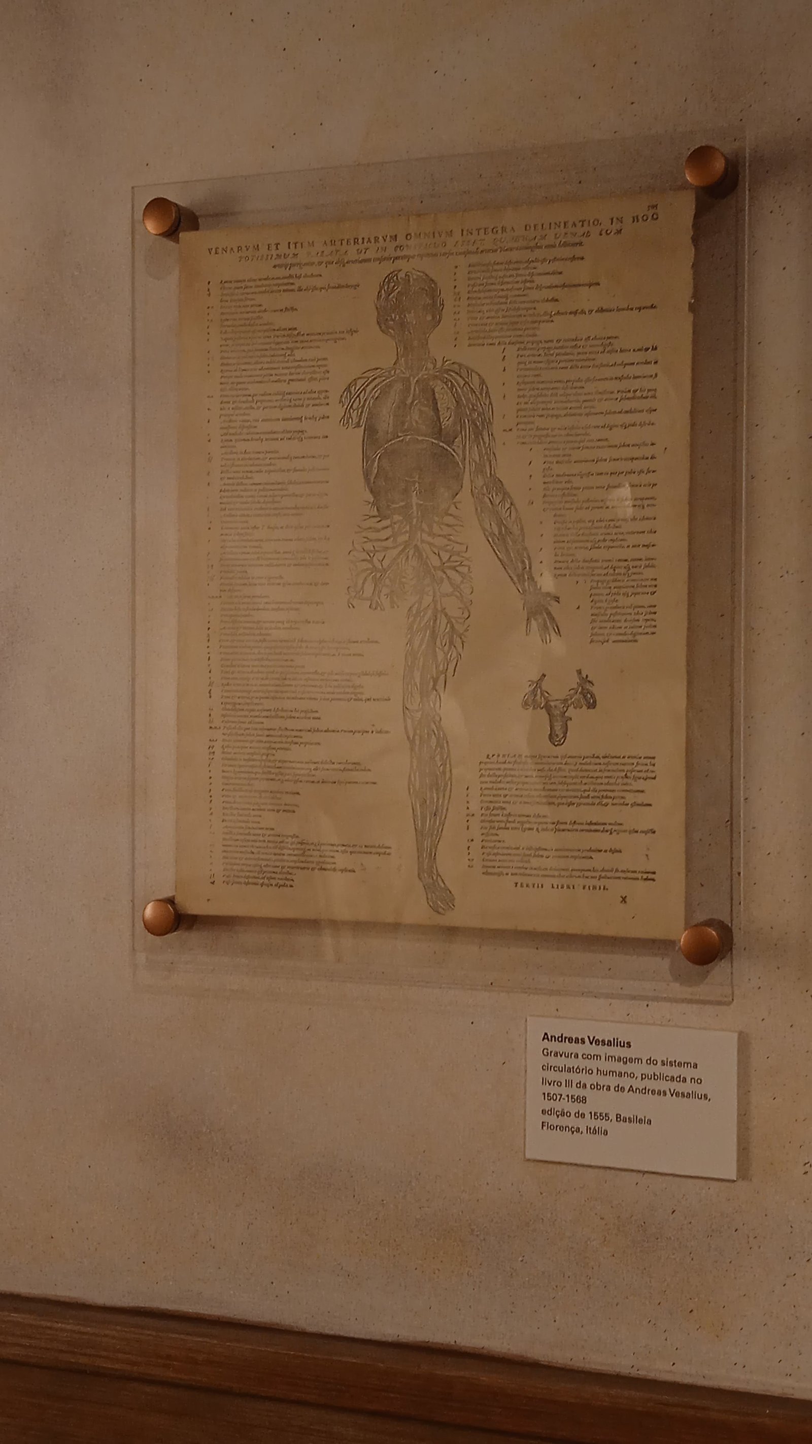 Michelangelo-Abrami-2023-_13